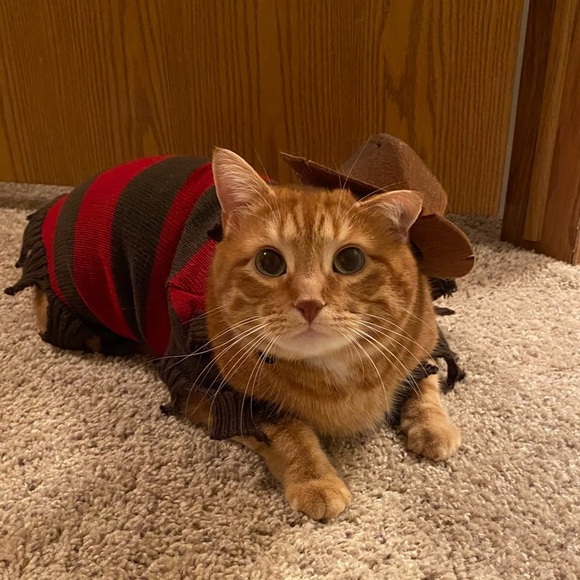 LIKE To Be Notified When I Go Live/Silent πΉ - Picture 5 of 14